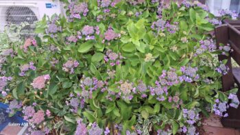 お宅の屋根は大丈夫ですか?